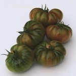 Bucanero